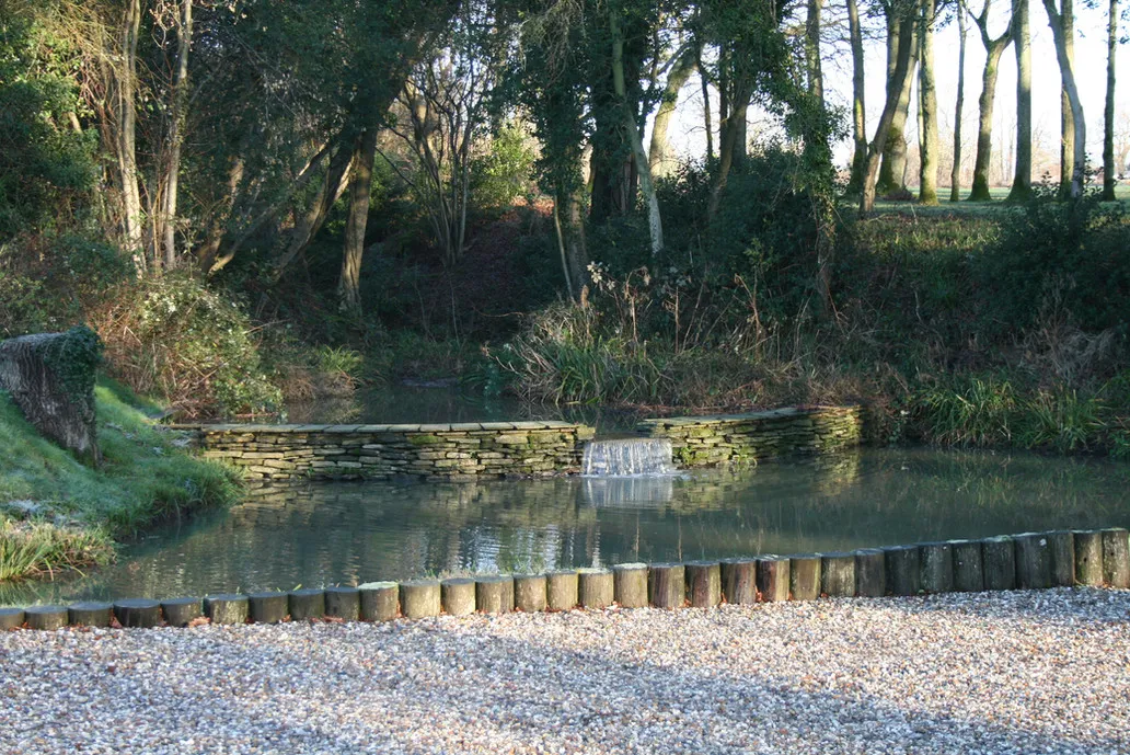 a small pond surrounded by trees in a park